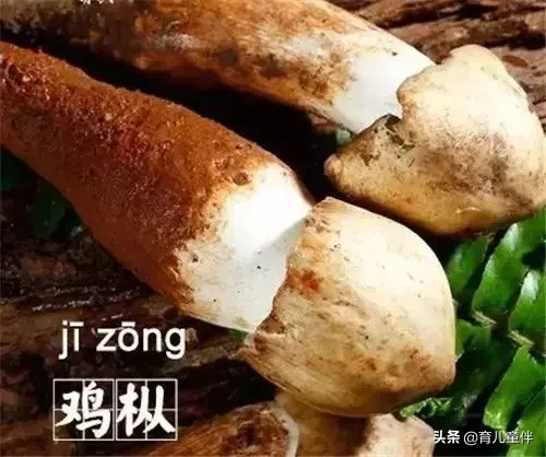 这些食物的名字，你都读对了吗？