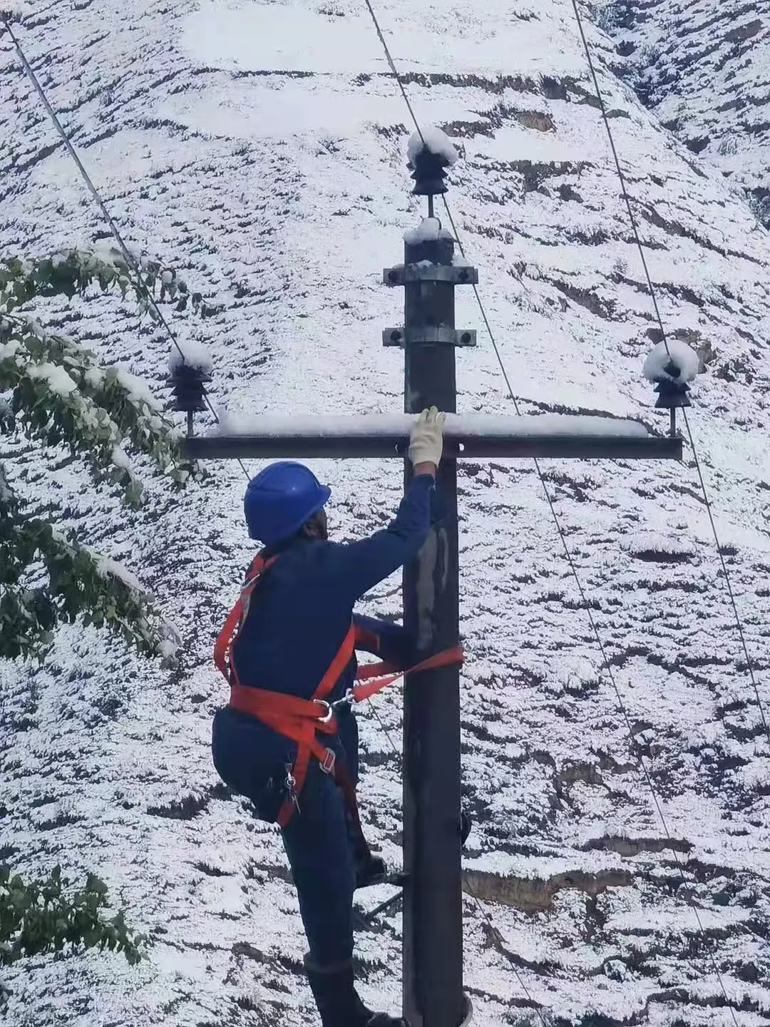 国网临潭县公司：雪后特巡确保电网安全稳定运行