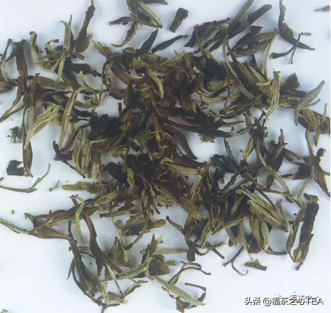 茶百科 | 中國茶葉分類大綱（收藏版）
