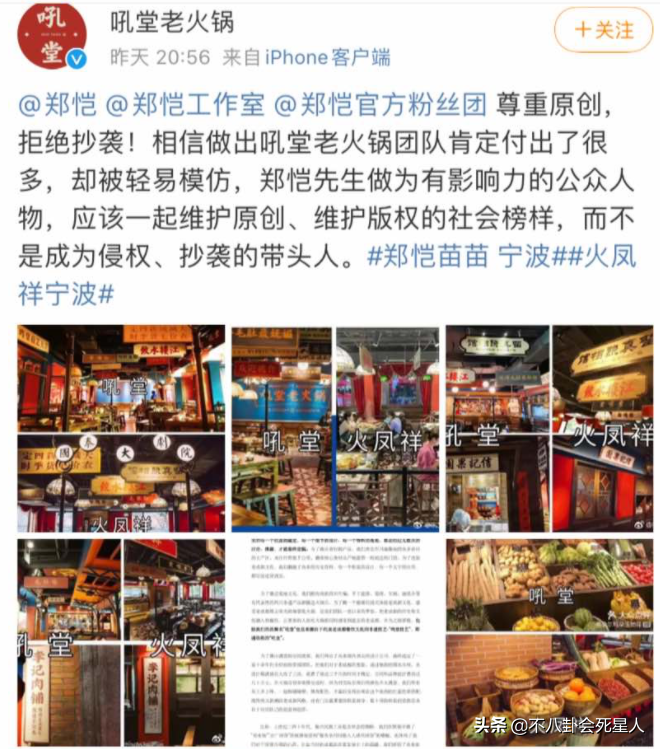 明星开店“三大效应”成隐患？海涛火锅店苍蝇飞舞，郑恺被曝抄袭