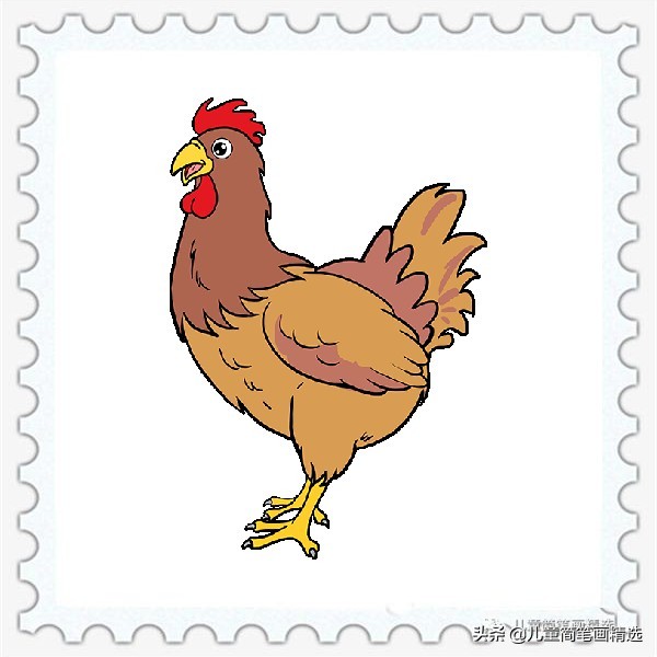 儿童简笔画精选【家禽家畜】-肉鸡（Chicken）的绘画教程