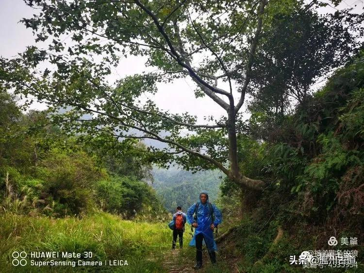 那山 那水 那树 那桥 苍南挑矾古道银湖环线穿越 你去过吗 天天看点