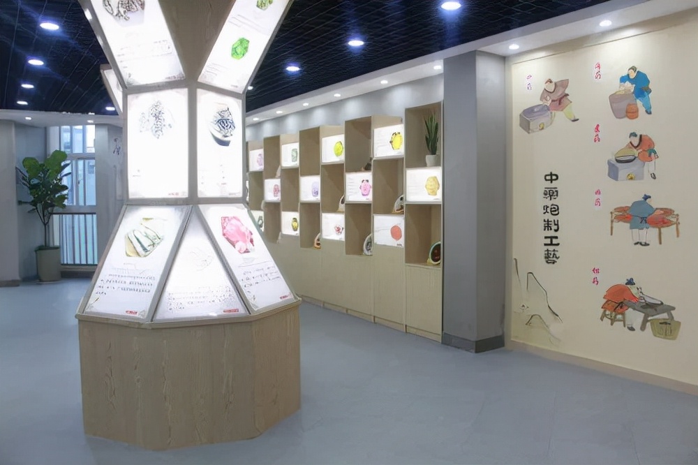 点赞！丰泽这所学校深耕细作，让中医药文化在校园中扎根绽放