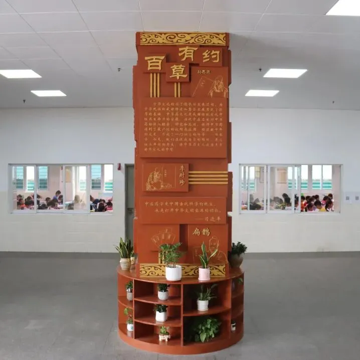 点赞！丰泽这所学校深耕细作，让中医药文化在校园中扎根绽放