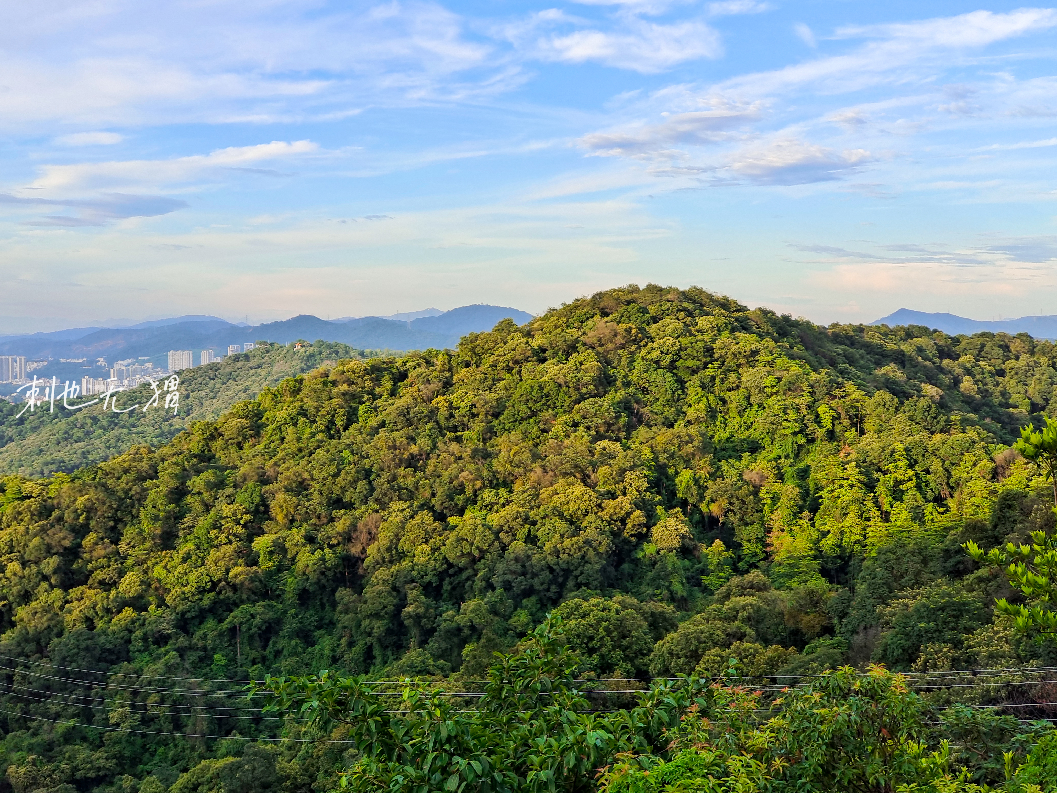 旅游博主在广州多年没爬过白云山？征服最高峰摩星岭，一次就爱上