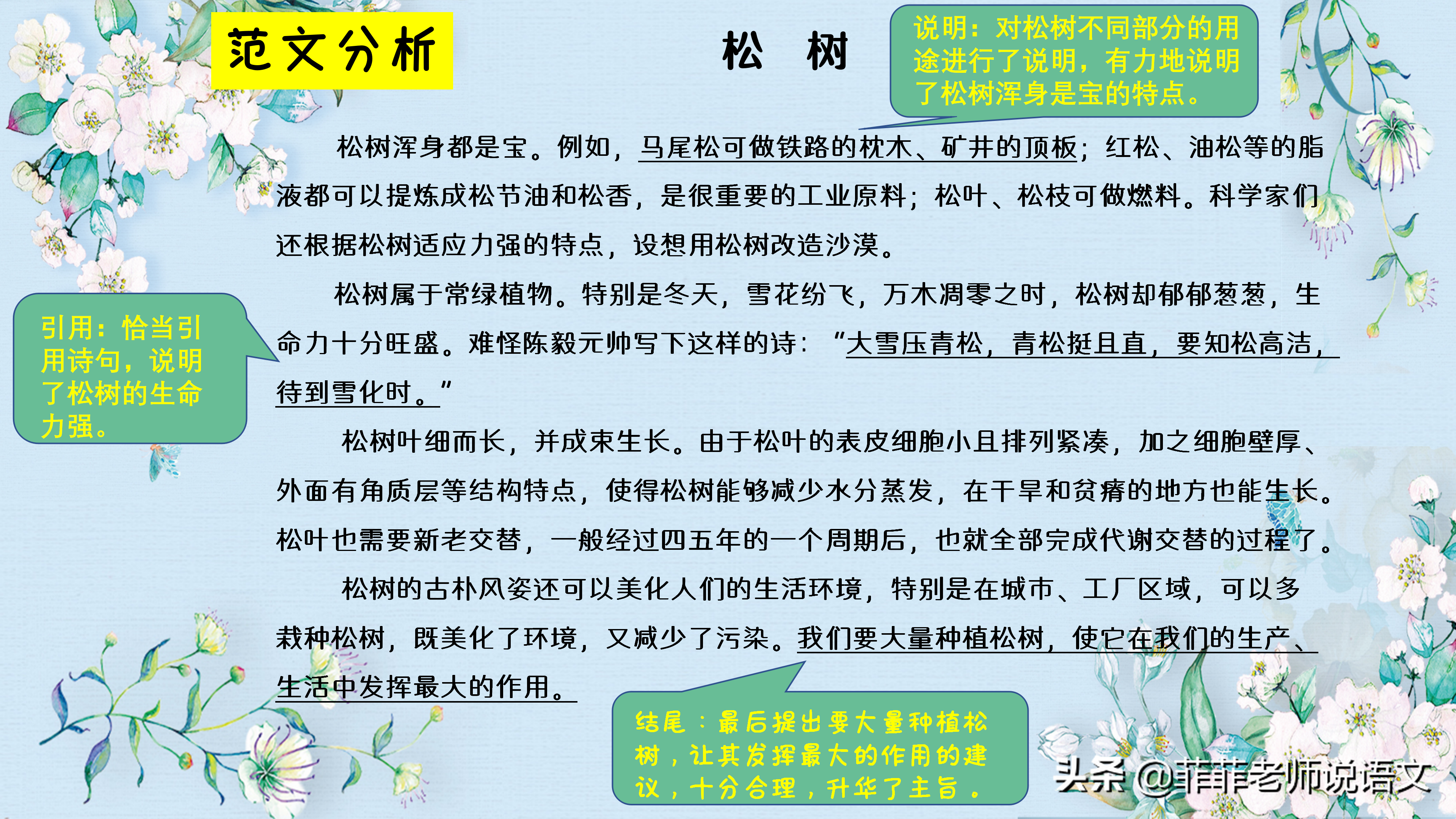 说明文该怎么写？说明文开头结尾的技法有哪些？一起来学习吧！