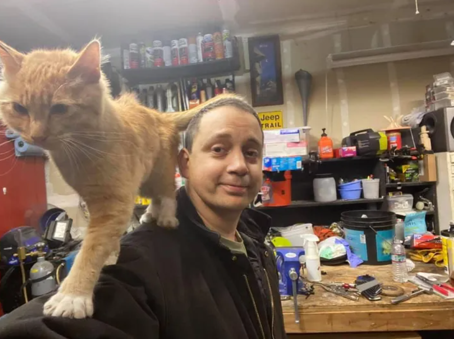 男子修車的時候，一隻橘貓跳上他肩膀，但是他並沒有養貓