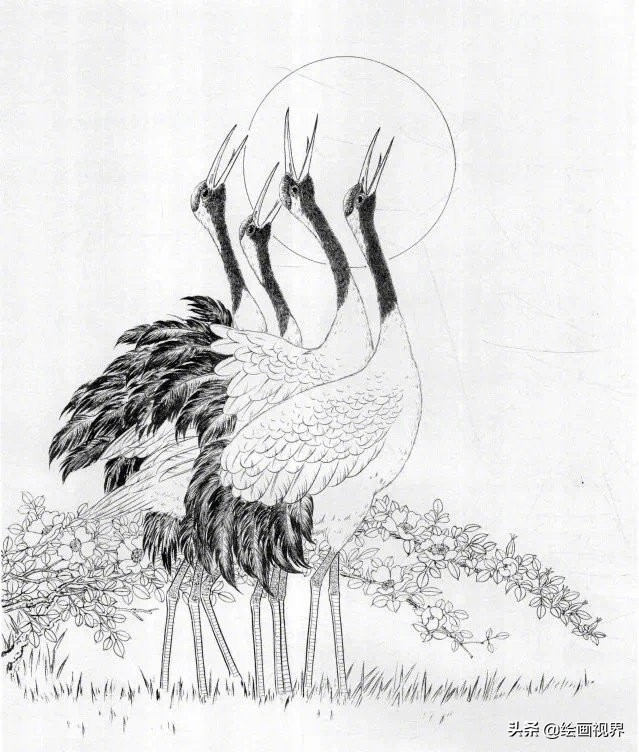 鹤的白描画法：鹤很难画？9张白描线稿拓画临摹，学会画鹤很简单