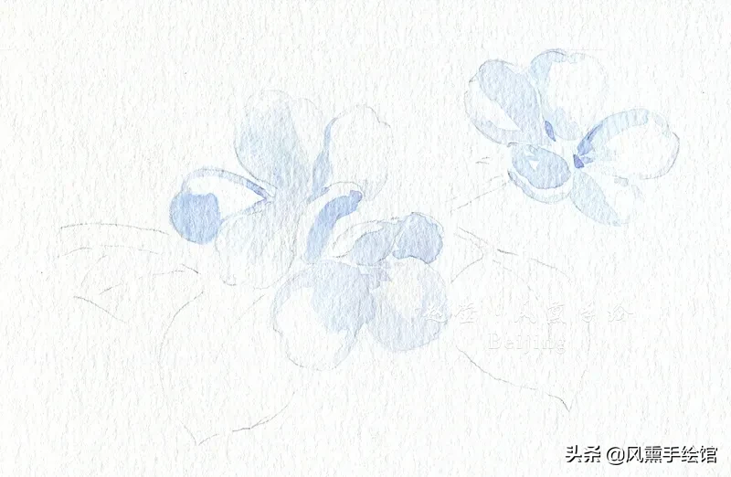 每周一绘 | 春天来啦，一起画梨花吧