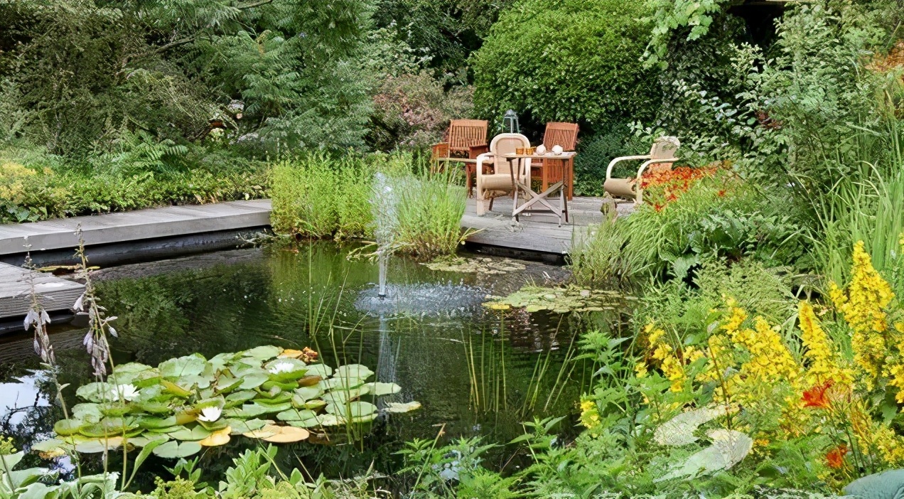 花园只有造个锦鲤鱼池，才能堪称最美庭院