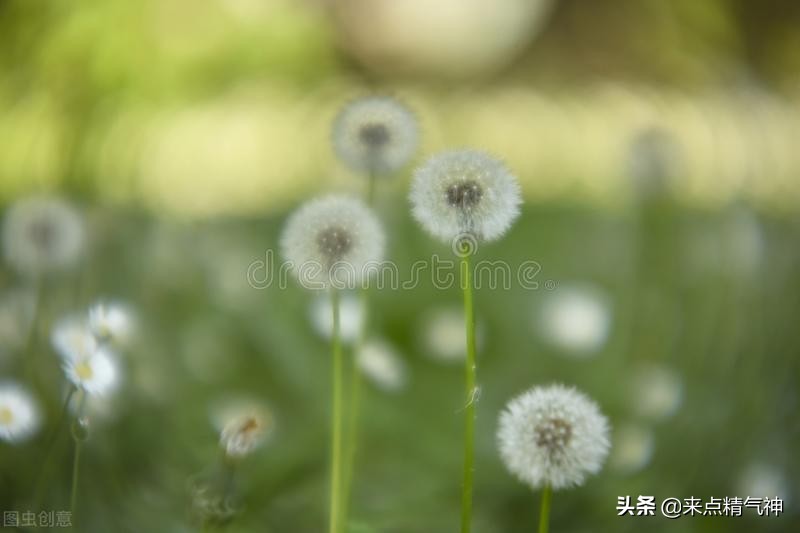 长期伏案易眩晕，按按后脑压痛点，听听专家怎么说