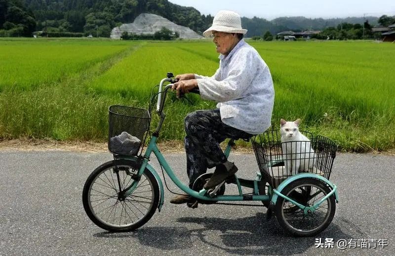 谢谢，福丸！再见，福丸