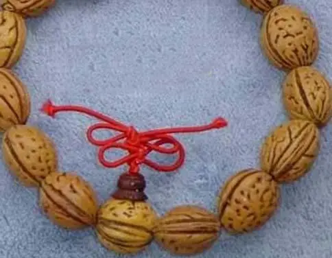 菩提子种类全详解（配图不易）