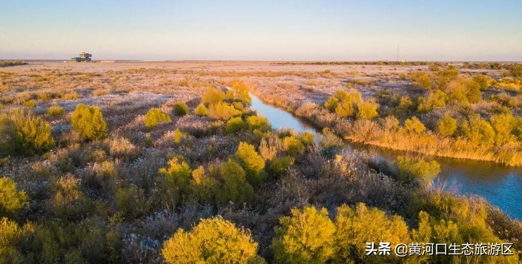 【黄河口生态旅游区】秋思黄河口