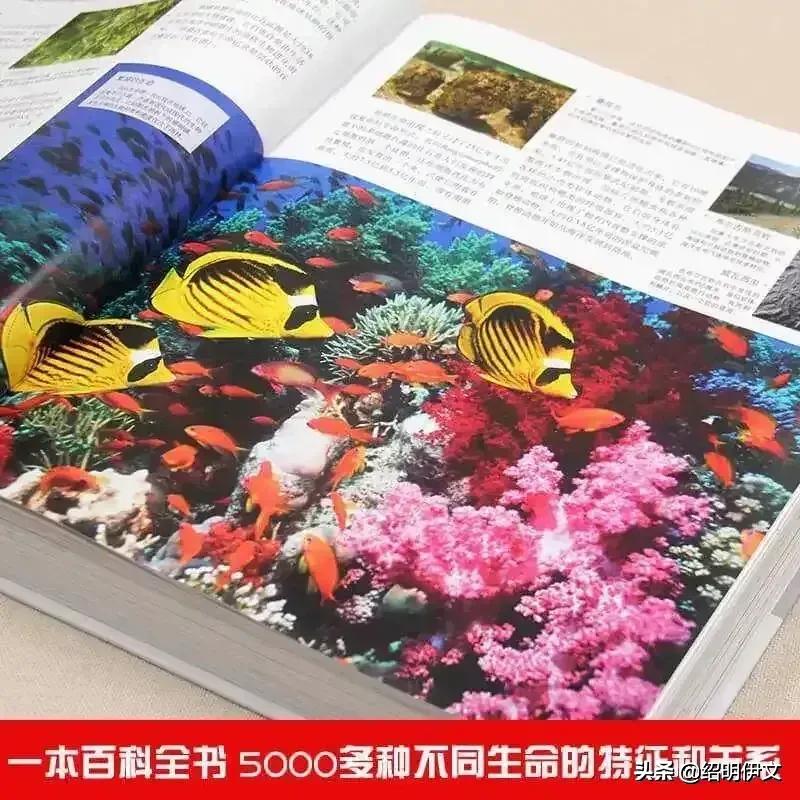 小学生家长问六一儿童节送什么礼物给孩子好，资深老师来告诉你
