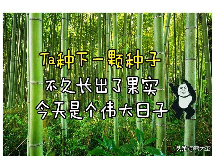 创意沙雕礼物（沙雕圣诞礼物）