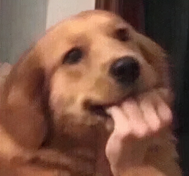 新媒体运营真的那么简单？