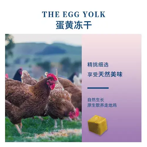 养狗必修小课堂——狗粮怎么选?