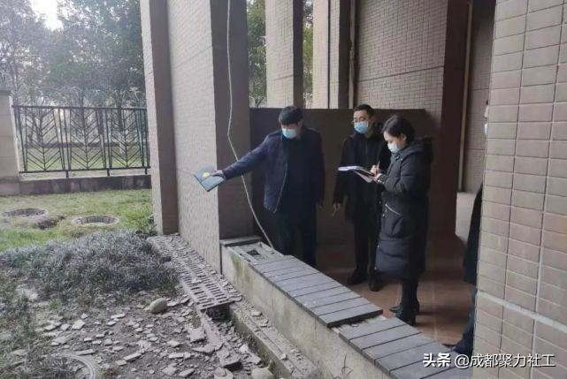 活动回顾丨双柏社区“爱卫运动，有你有我”1月主题党日