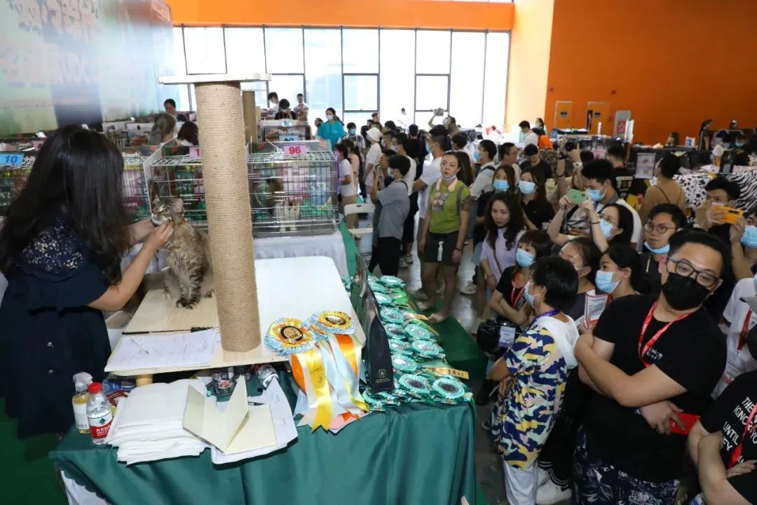 2022CPF广州国际展门票优惠购，上千只萌宠0距离接触
