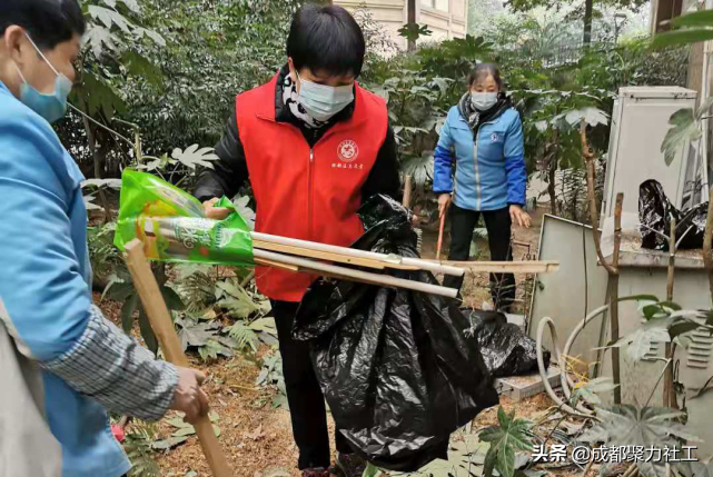 活动回顾丨双柏社区“爱卫运动，有你有我”1月主题党日