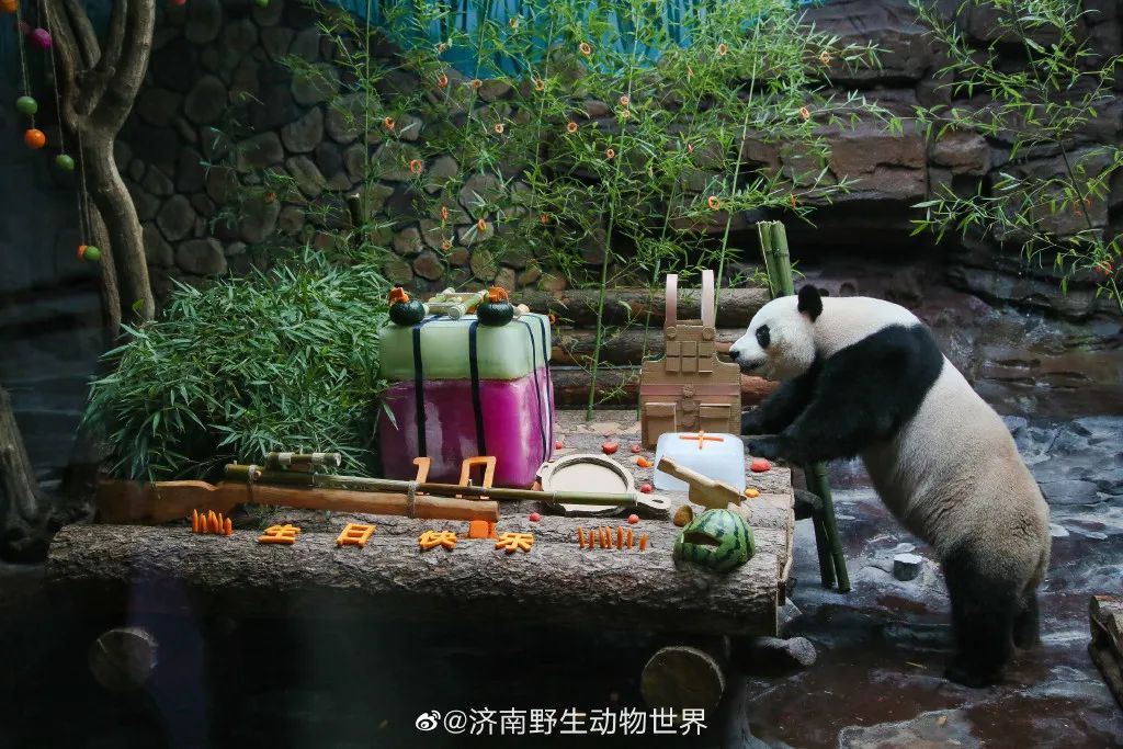 猛男必备礼物（生日礼物 男）