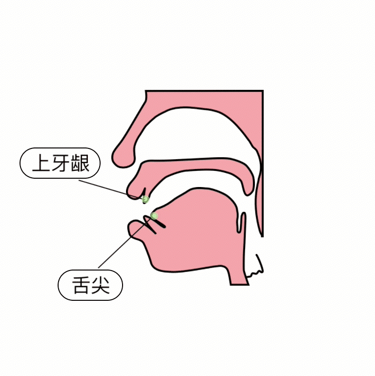 小学汉语拼音前鼻音和后鼻音的发音技巧，值得收藏！