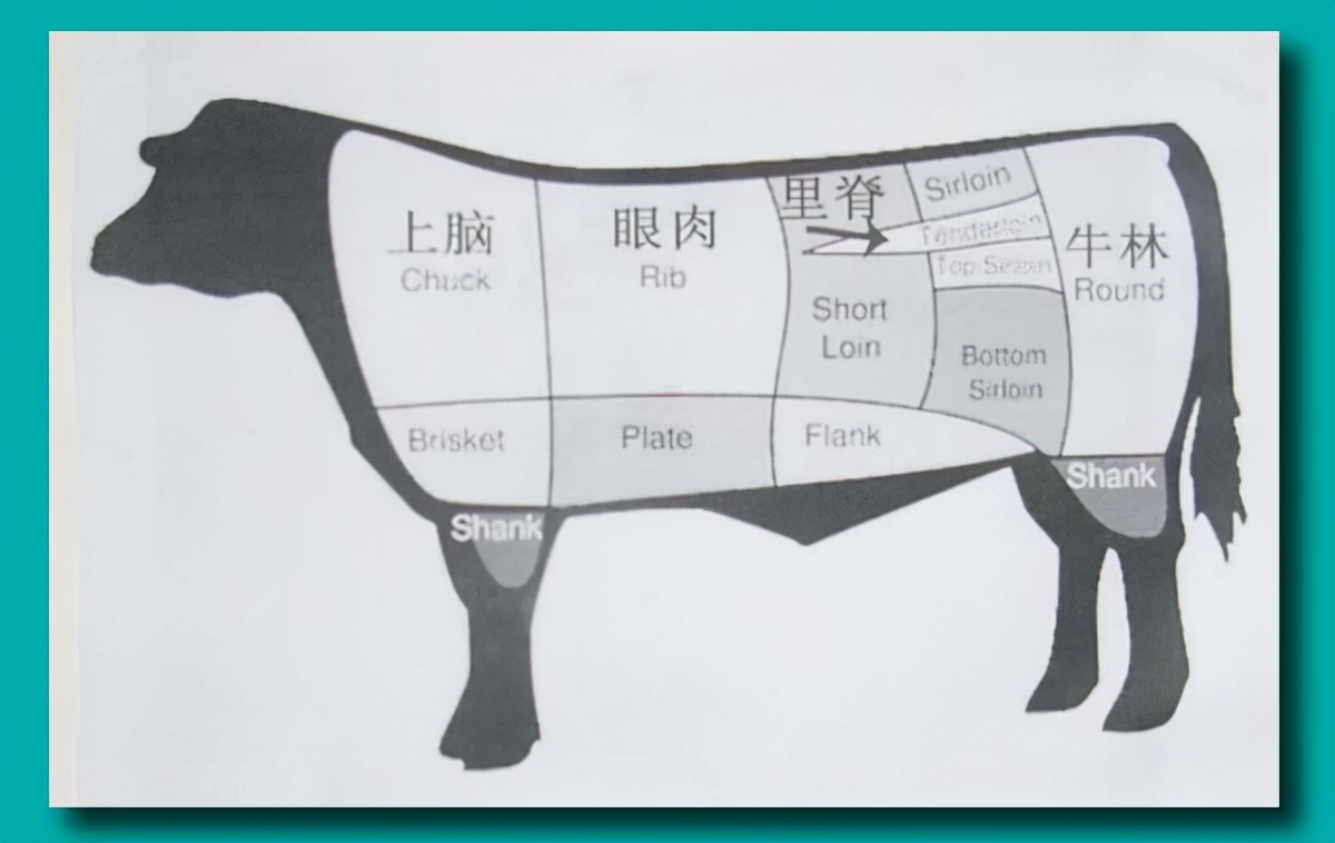 涮火锅时吃的牛上脑，一般指的是牛的什么部位的肉？蚂蚁庄园答案