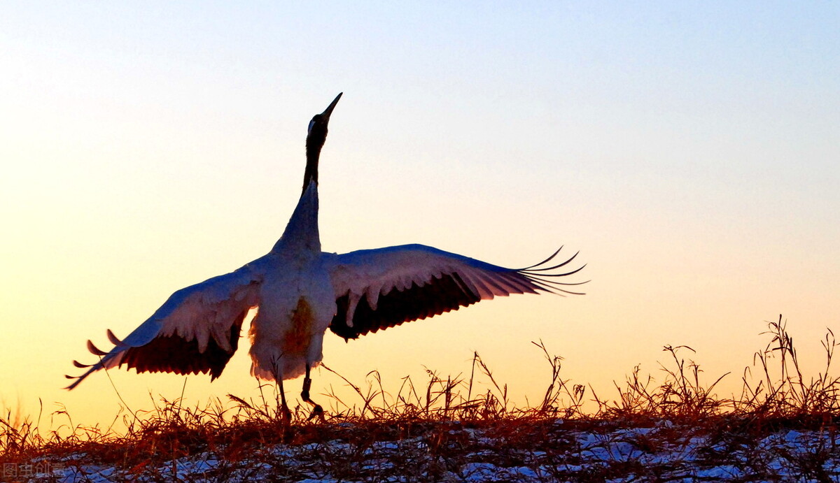京喜无货源店群：如何避免打假？解决办法是什么