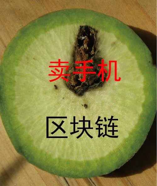 挖矿生意早没戏了区块链手机是噱头