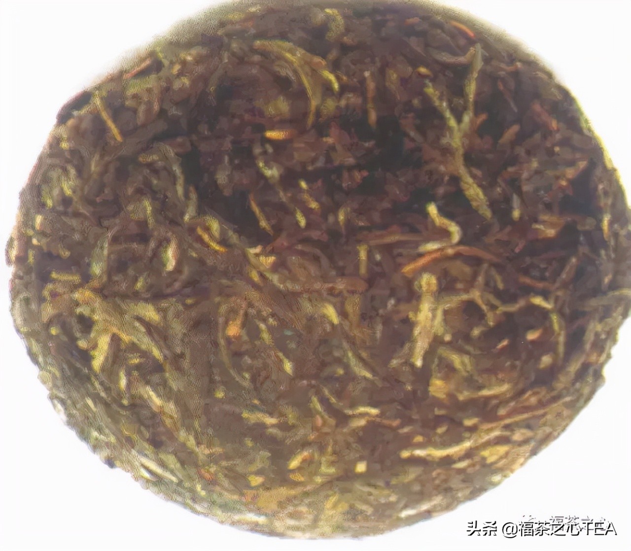 茶百科 | 中國茶葉分類大綱（收藏版）