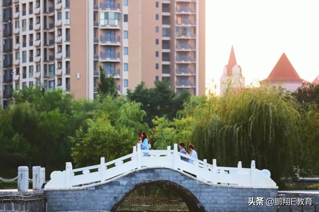 拾起一枚秋叶，点亮山东中医药高专的秋