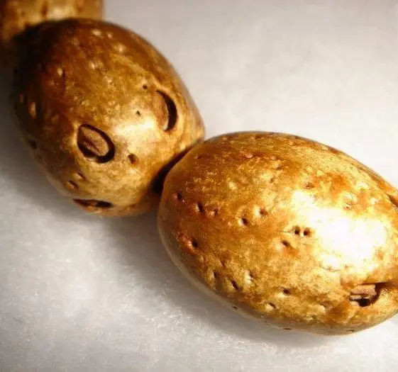 菩提子种类全详解（配图不易）