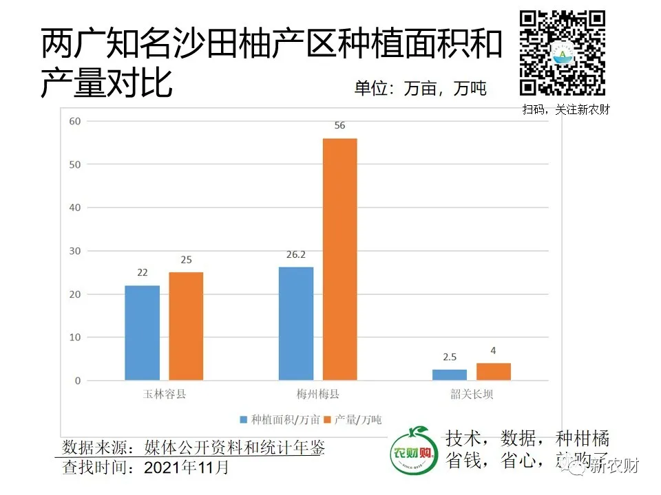 行情走高,百万吨沙田柚都卖到哪了?