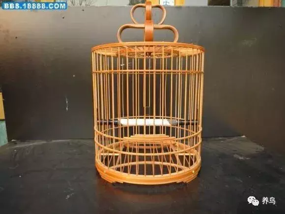 养鸟的种类与笼具的选取