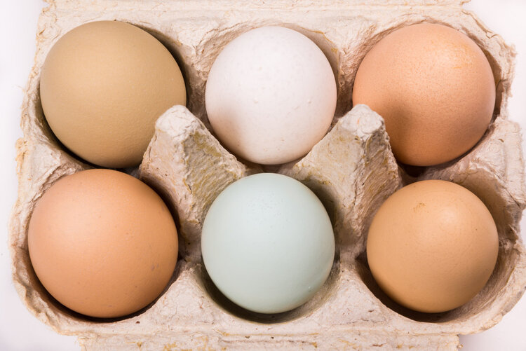 早晨吃鸡蛋有什么好处，鸡蛋的营养价值