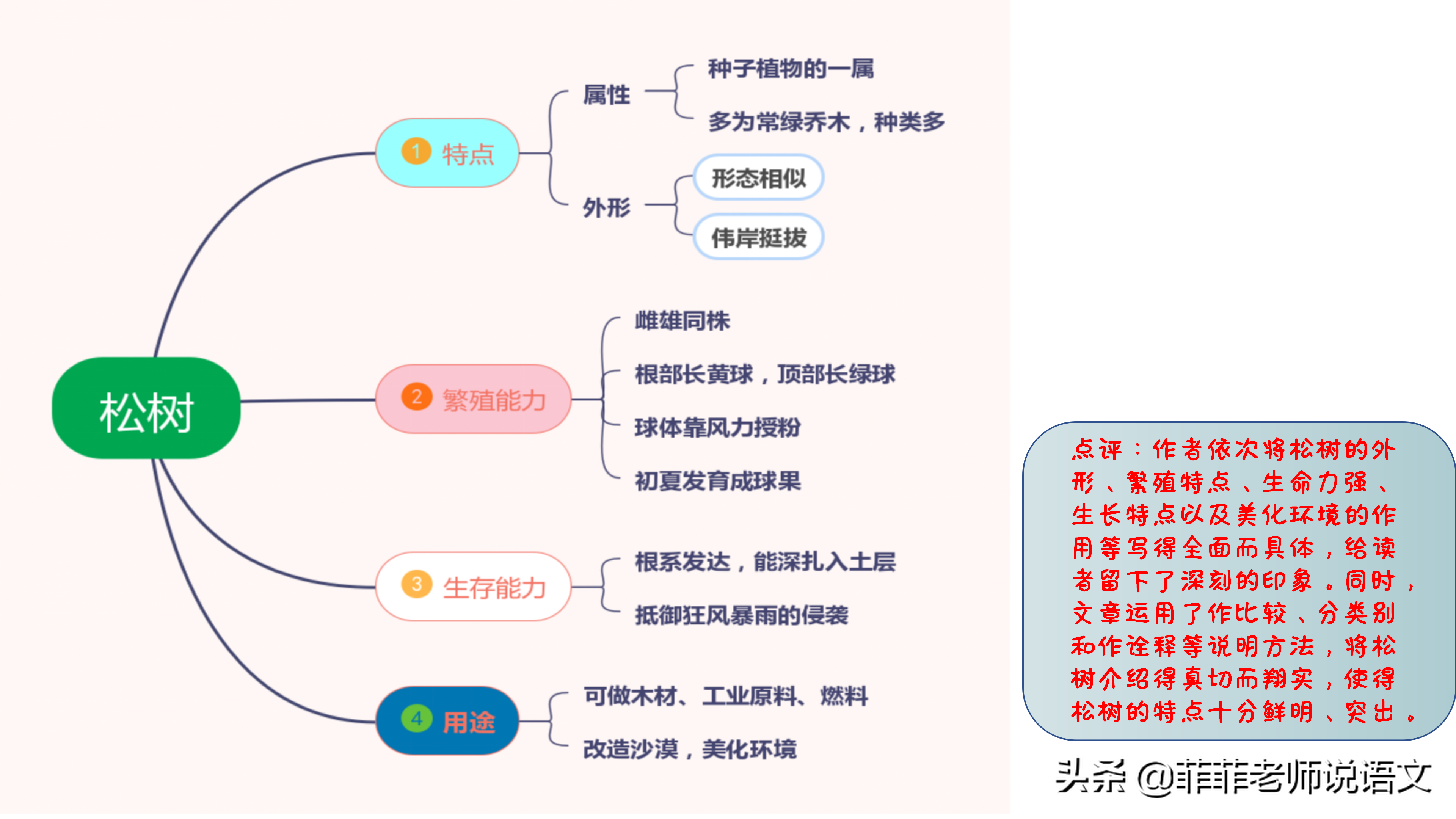 说明文该怎么写？说明文开头结尾的技法有哪些？一起来学习吧！