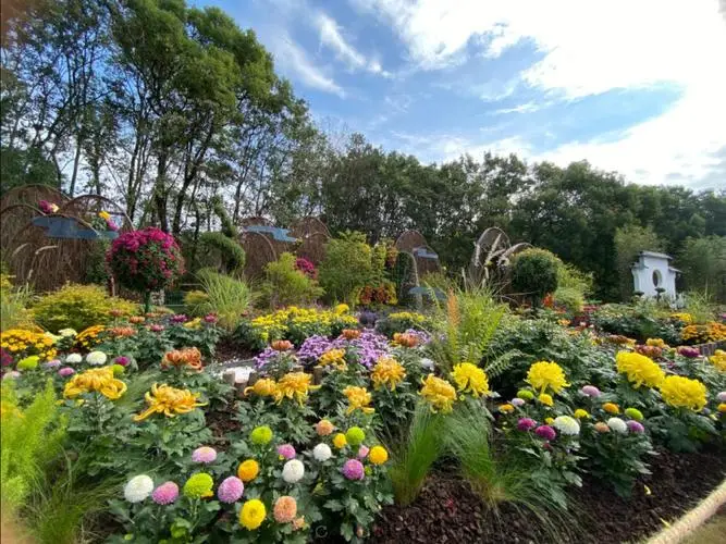 实践出真知！中考作文精品范文《长学问了》