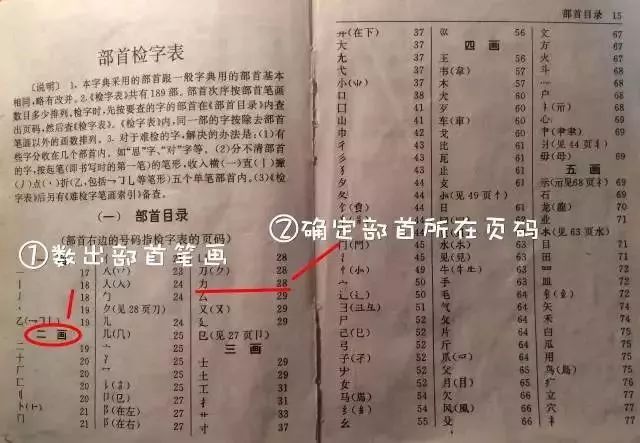 小学低年级查字典技巧及练习，学起来教孩子吧