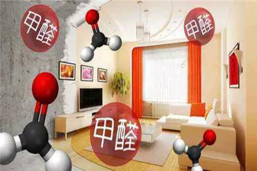 除甲醛的视频步骤85