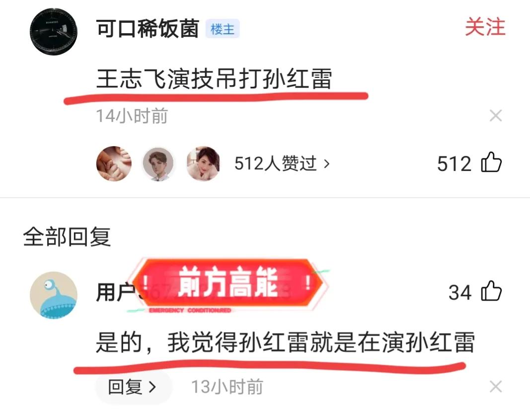 孙红雷和老婆主演的《扫黑风暴》火了，网友却在评论区呼唤丁嘉丽