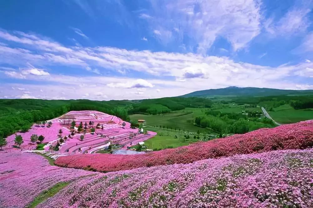 实战总结：文旅项目的脱困之路