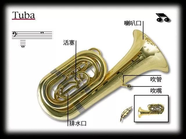 铜管乐器有哪些，带您认识铜管乐器解析？