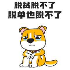 双11狂欢节，关务人在忙啥？