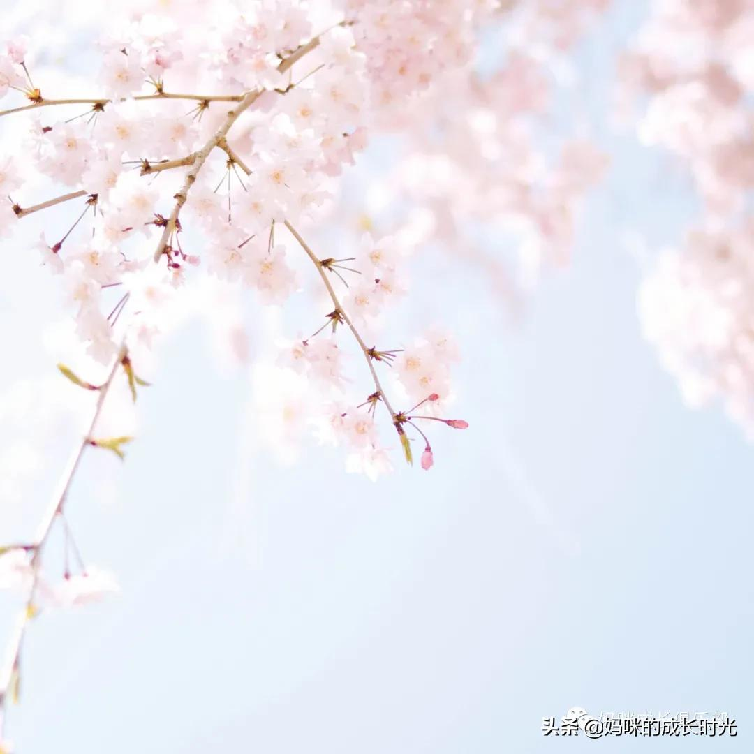 我和写作|六分之一