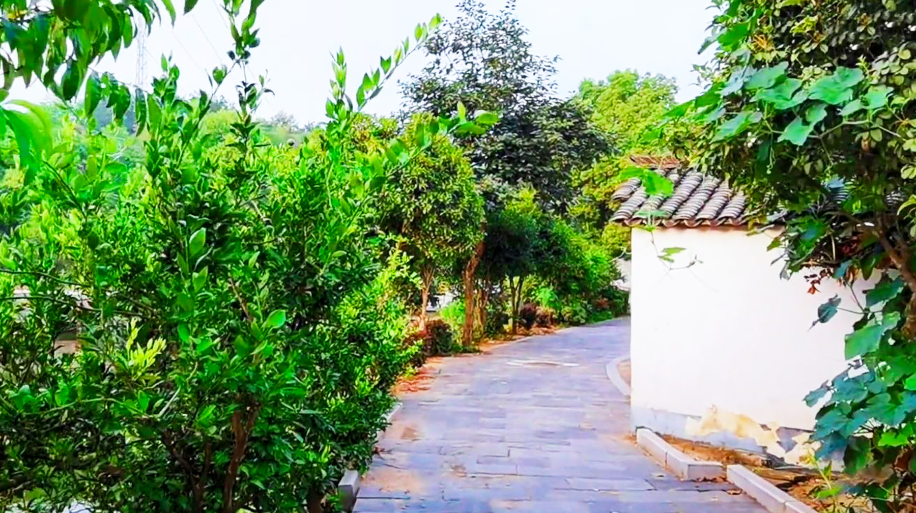 武汉新洲区有哪些旅游景点(武汉市新洲区双柳旅游景点)