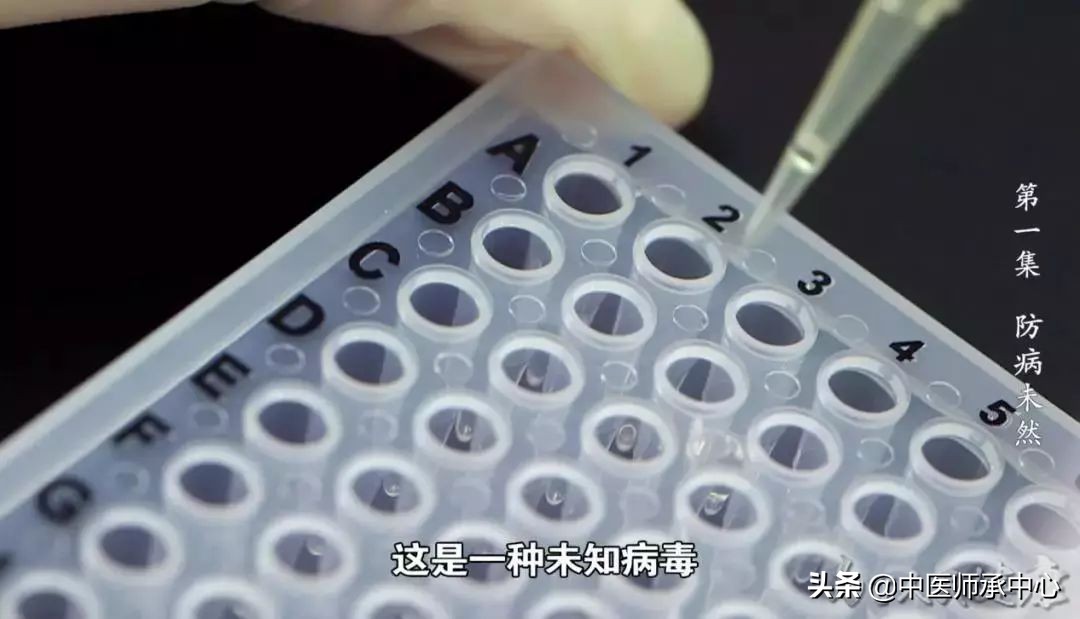 下个70年，中医药能为健康中国做什么？