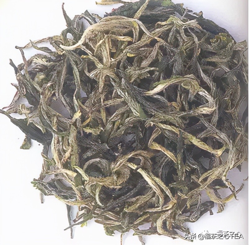 茶百科 | 中國茶葉分類大綱（收藏版）