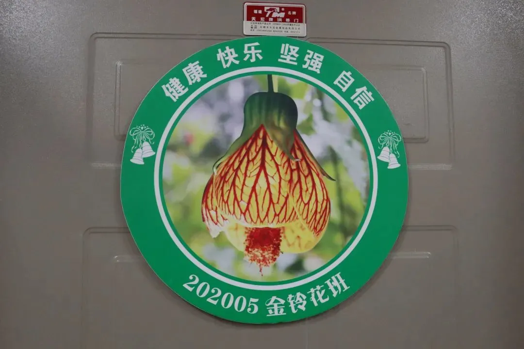 点赞！丰泽这所学校深耕细作，让中医药文化在校园中扎根绽放