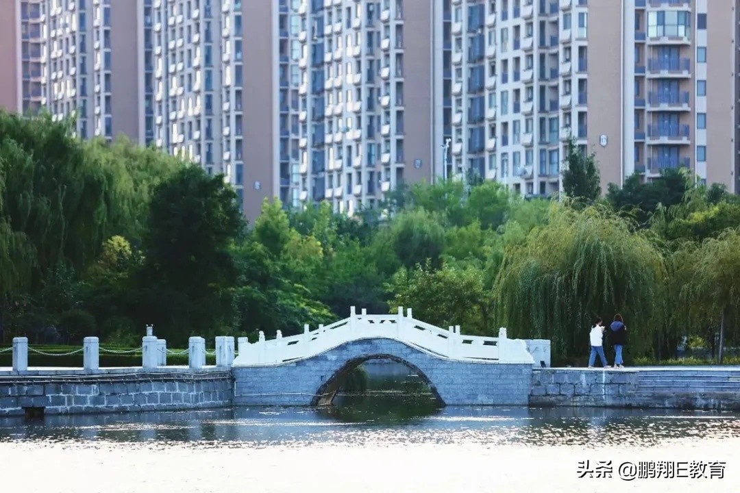拾起一枚秋叶，点亮山东中医药高专的秋